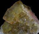 Lustrous, Yellow Cubic Fluorite Crystals - Morocco #37481-1